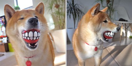 rogz-grinz-smiling-dog-ball-5