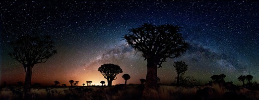 Quiver Trees by Night 2, 2012. 'The cool glow of our milky way contrasts with the warm light pollution from the nearby town of Keetmanshoop, Namibia, providing a colourful backdrop to a grove of Quiver Trees. This panorama was captured at the Quiver Tree Forest Restcamp, and covers a 230-degree view, composed of 12 exposures'